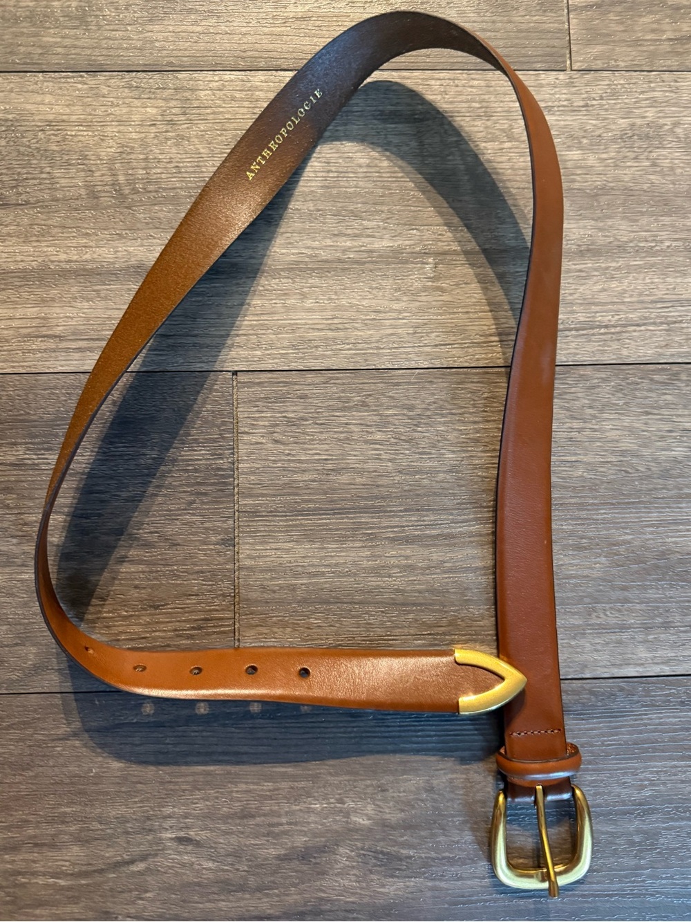 Anthropologie Vintage Western Belt